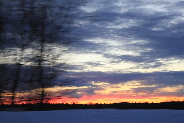 New Camera Dec2010 223